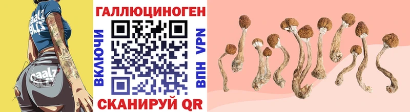 где можно купить наркотик  Яровое  Галлюциногенные грибы ЛСД 