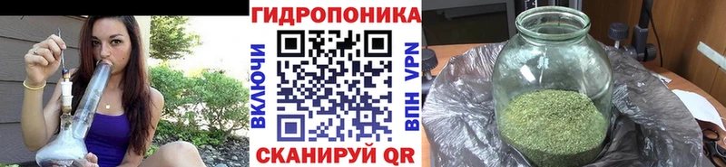 Каннабис конопля  Яровое 